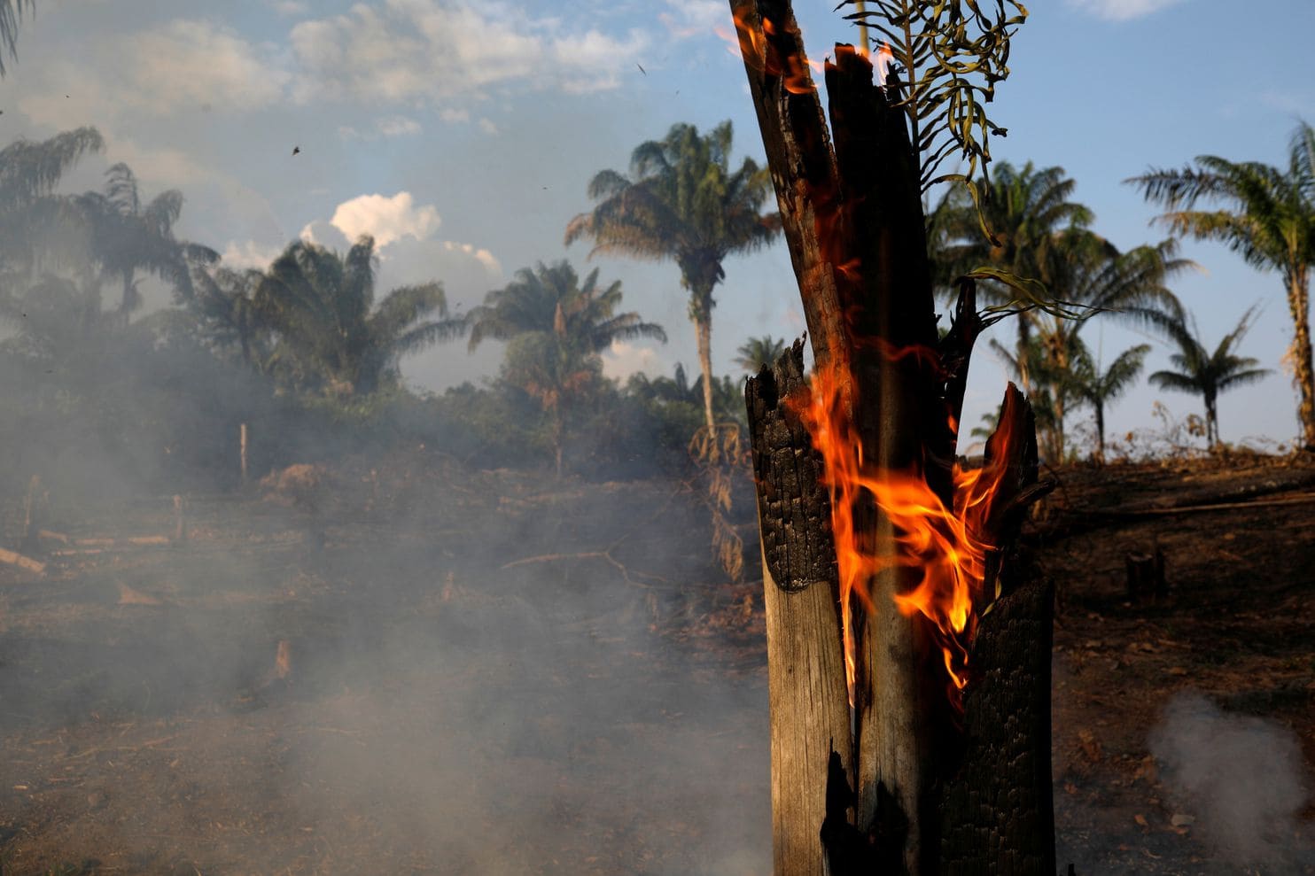 巴西宣布已成功控制亚马孙雨林火势；博索纳罗继续强怼欧洲，原来背后特朗普在“挑拨离间”