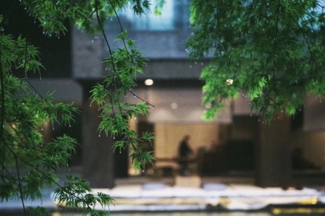 找一处心安之所,住进自然风景里