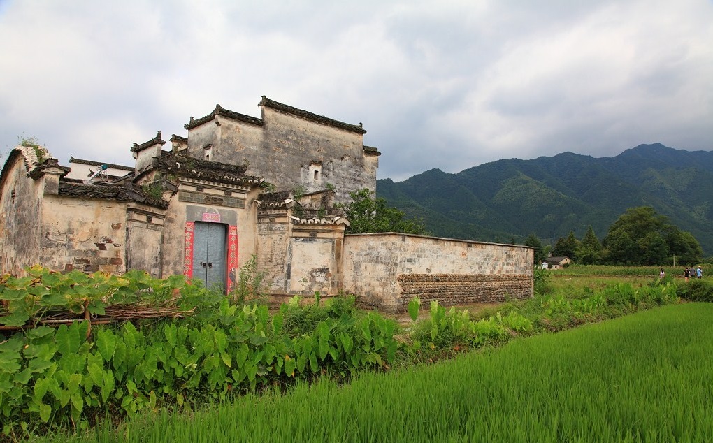 重返大地：是重建生活，也是走进乌托邦