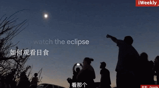 才是正确的应对之法——怎样用木板封住窗户,怎样在暴风雨里安抚狗