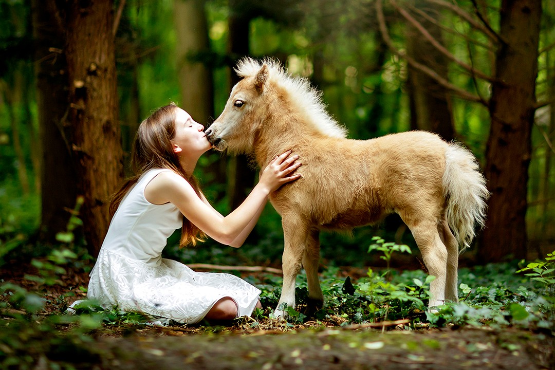 动物为人类疗伤,安抚情绪各个是能手