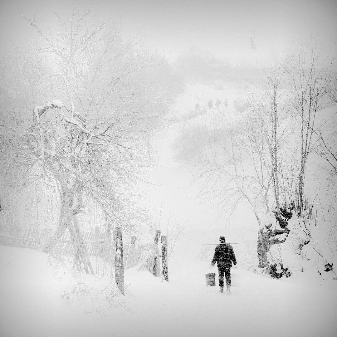 图集:大雪节气来临,赏今冬最美初雪